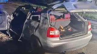 Wypadek przeżyła jedynie 20-letnia kobieta 