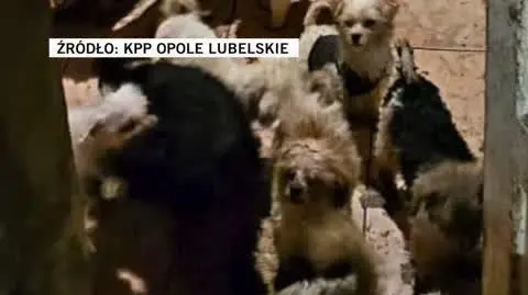 KPP Opole Lubelskie