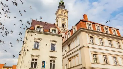 Prudnik