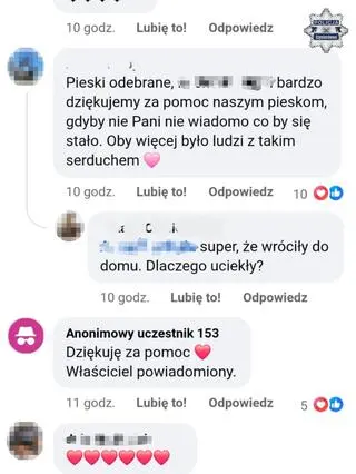 Post zauważyła właścicielka psów