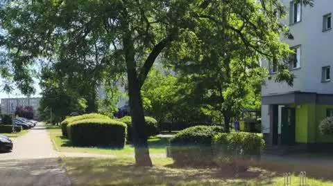 Do zdarzenia doszło w Golubiu-Dobrzyniu