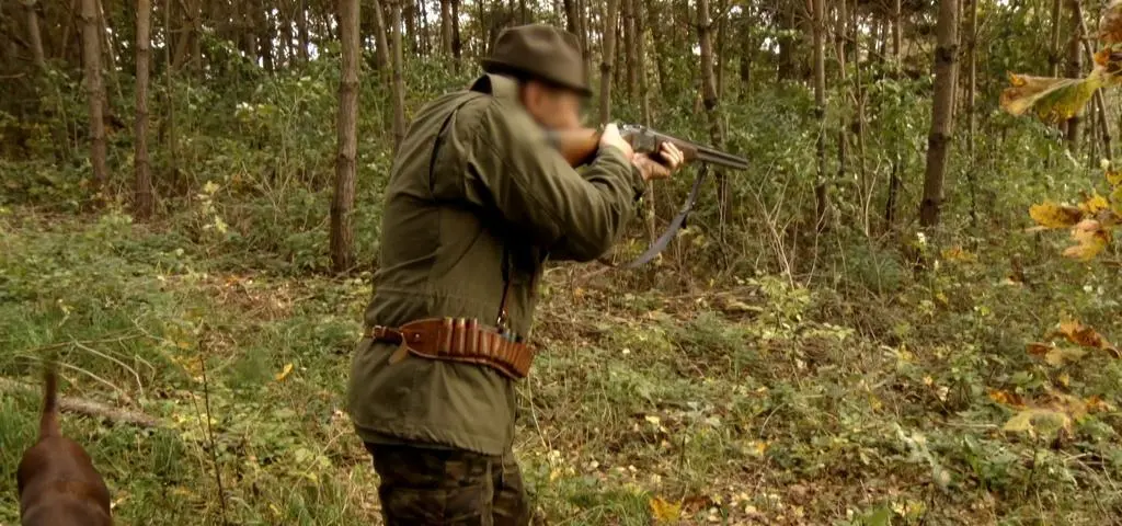Po co nam myśliwi?