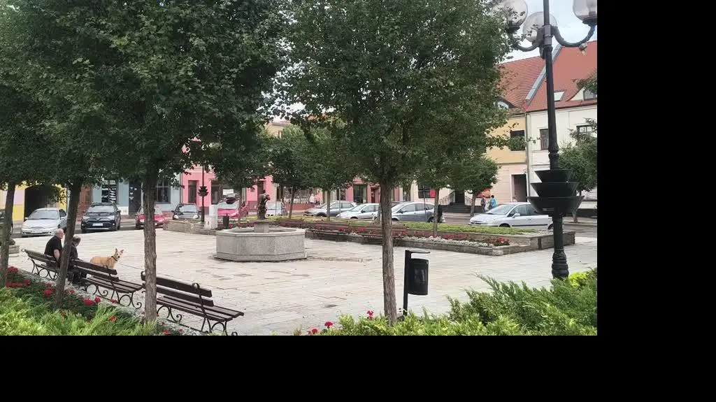 VID_20250722_163053856