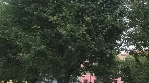 VID_20250722_163053856