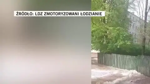 zmotoryzowani