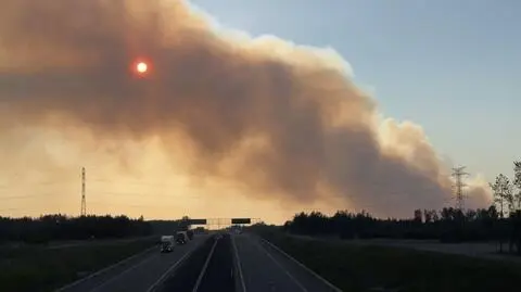 Pożar lasu