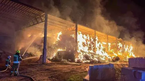 Straty oszacowano na kilkaset tysięcy złotych