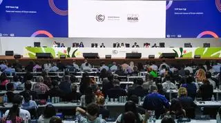 Konferencja klimatyczna COP30 w Brazylii 