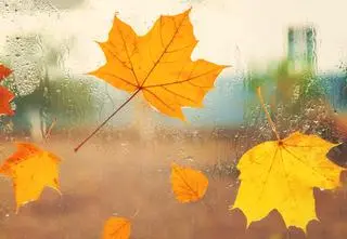 Dziś chłodno i deszczowo, może zagrzmieć