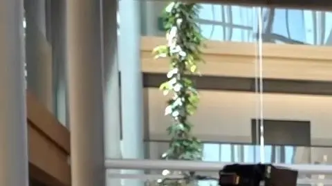 W Parlamencie Europejskim ponownie o Tarczy Wschód. Relacja Macieja Sokołowskiego