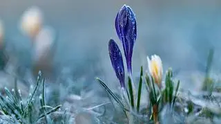 Mroźny poranek. Ostrzeżenia w wielu województwach