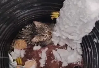 Zmarznięty i mokry czekał na ratunek. W rurze na opuszczonej budowie