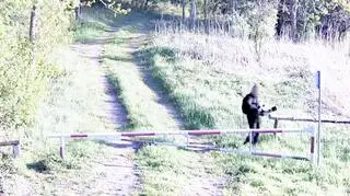 Wszedł na pas drogi granicznej, żeby zrobić zdjęcie. Dostał mandat