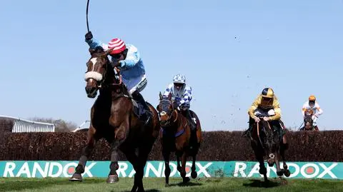 Dżokej pod ostrzałem po śmierci konia. Sekcja zwłok zaskakuje