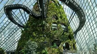 Gardens by the Bay