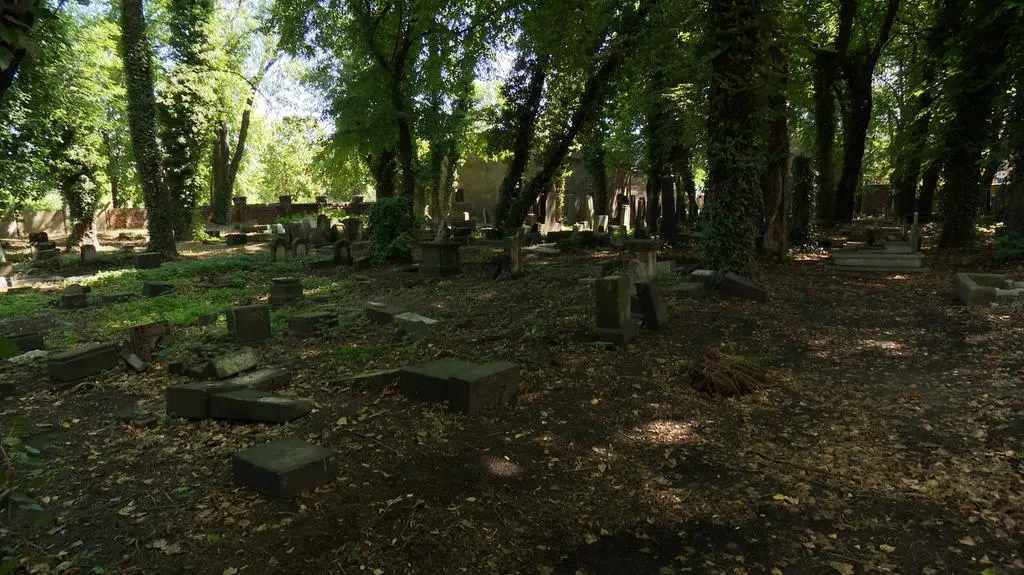 Zdewastowany cmentarz żydowski w Katowicach