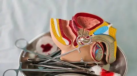 shutterstock_2536461219