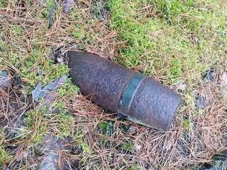 Mężczyzna znalazł niewybuchy w trakcie zbierania grzybów