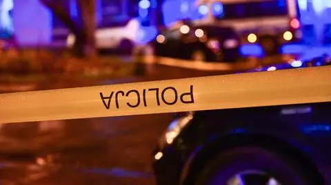 Wycelował z broni do policjantów, padły strzały. Areszt dla Gruzina