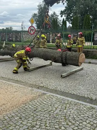 Strażacy zabierają drzewo 