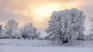 Globalne ocieplenie nie oznacza, że nie będzie zimy