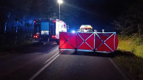 Motocyklista zginął po uderzeniu w łosia