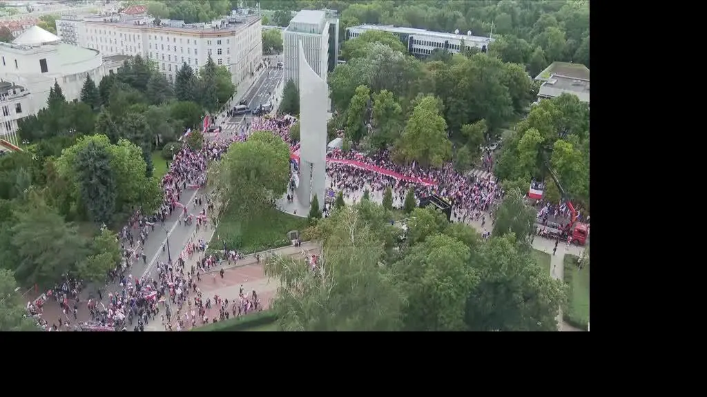 lajf demonstracja