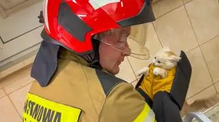 Przekazali go patrolowi straży miejskiej 