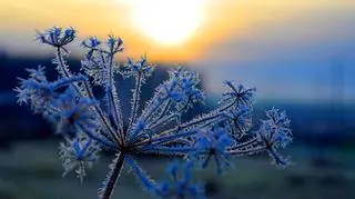 Ostrzeżenia IMGW dla dwóch województw