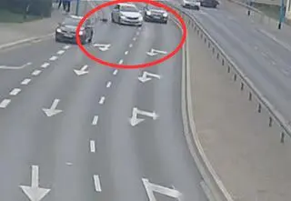 Pies wbiegł na jezdnię, wprost pod auto. Doszło do zderzenia. Nagranie 