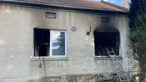 W pożarze zginęła kobieta i dwa psy