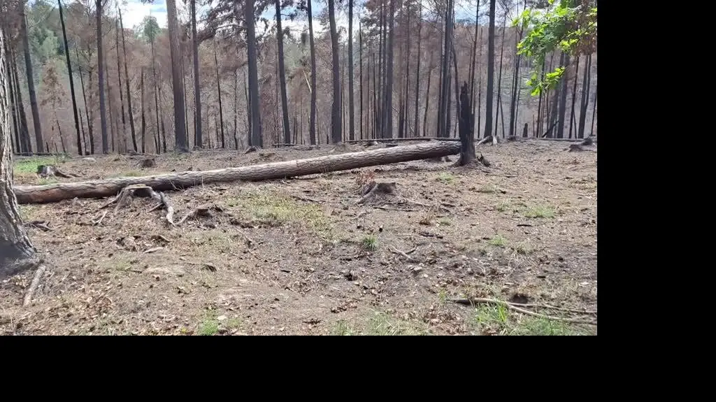 pogorzelisko2_ticker