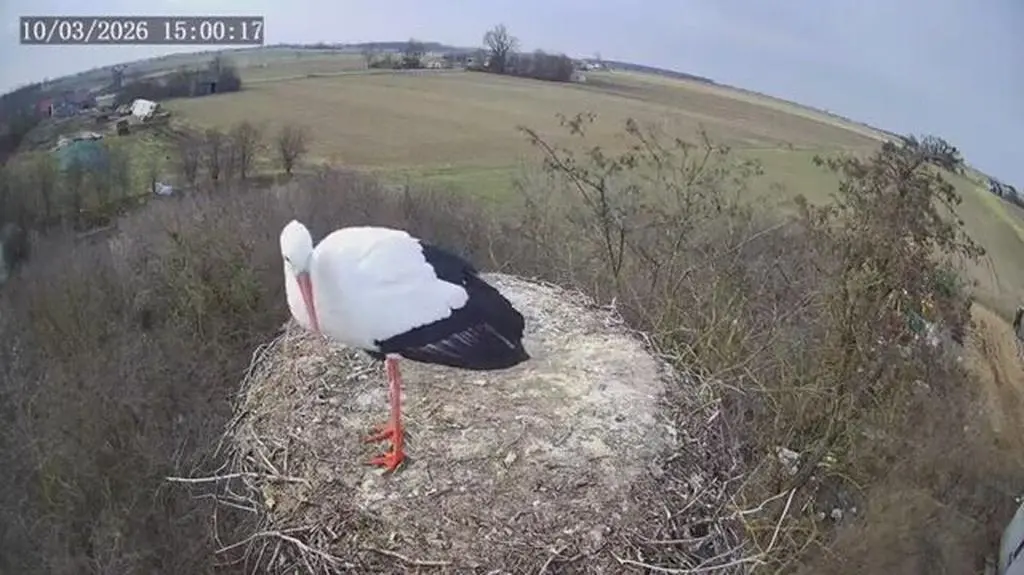 Klatka kluczowa-283701