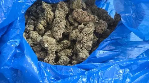 Policjanci zabezpieczyli marihuanę, kokainę i haszysz