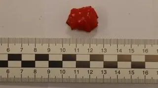 Narkotyki ukryte pod ziemią