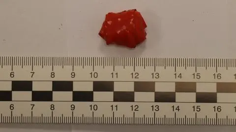 Narkotyki ukryte pod ziemią