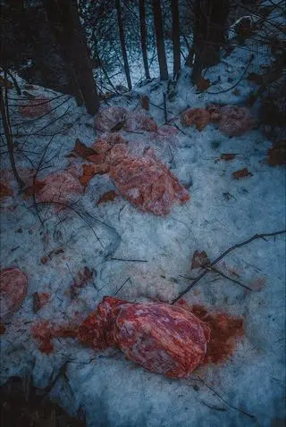 Znaleźli 130 kilogramów mięsa 