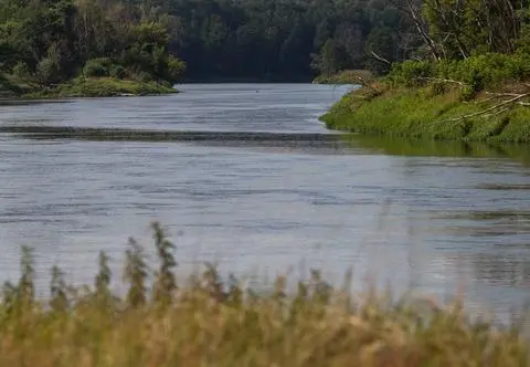 Pięć ciał wyłowionych z rzeki. Śledczy ustalają, kim byli i jak zginęli 