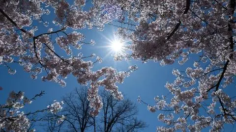 Wiosna, słońce, ciepło