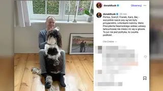 Tusk pokazał zdjęcie z psem. Reakcja na weto