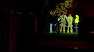 Strzelanina pod Gostyninem 