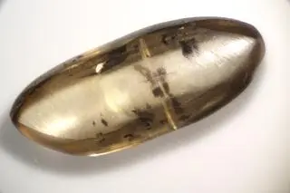 Diament William, zbliżenie