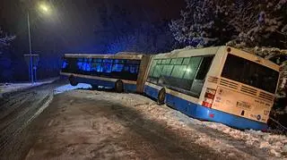 Autobus wypadł z drogi