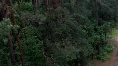 2106N313XR PIS DNZ ZALEWSKI