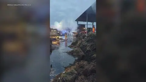 Klatka kluczowa-20406