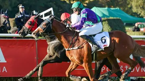 Historyczny finisz Wielkiej Pardubickiej. "To nie miało prawa się wydarzyć"