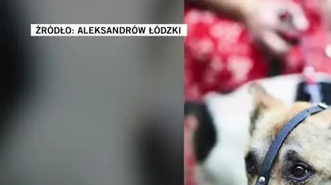 Aleksandrów Łódzki