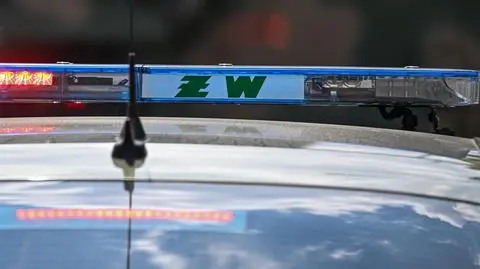 Żandarmeria Wojskowa