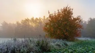 Temperatura podzieliła Polskę. 20 stopni Celsjusza różnicy