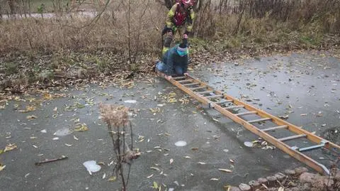 Klatka kluczowa-51079